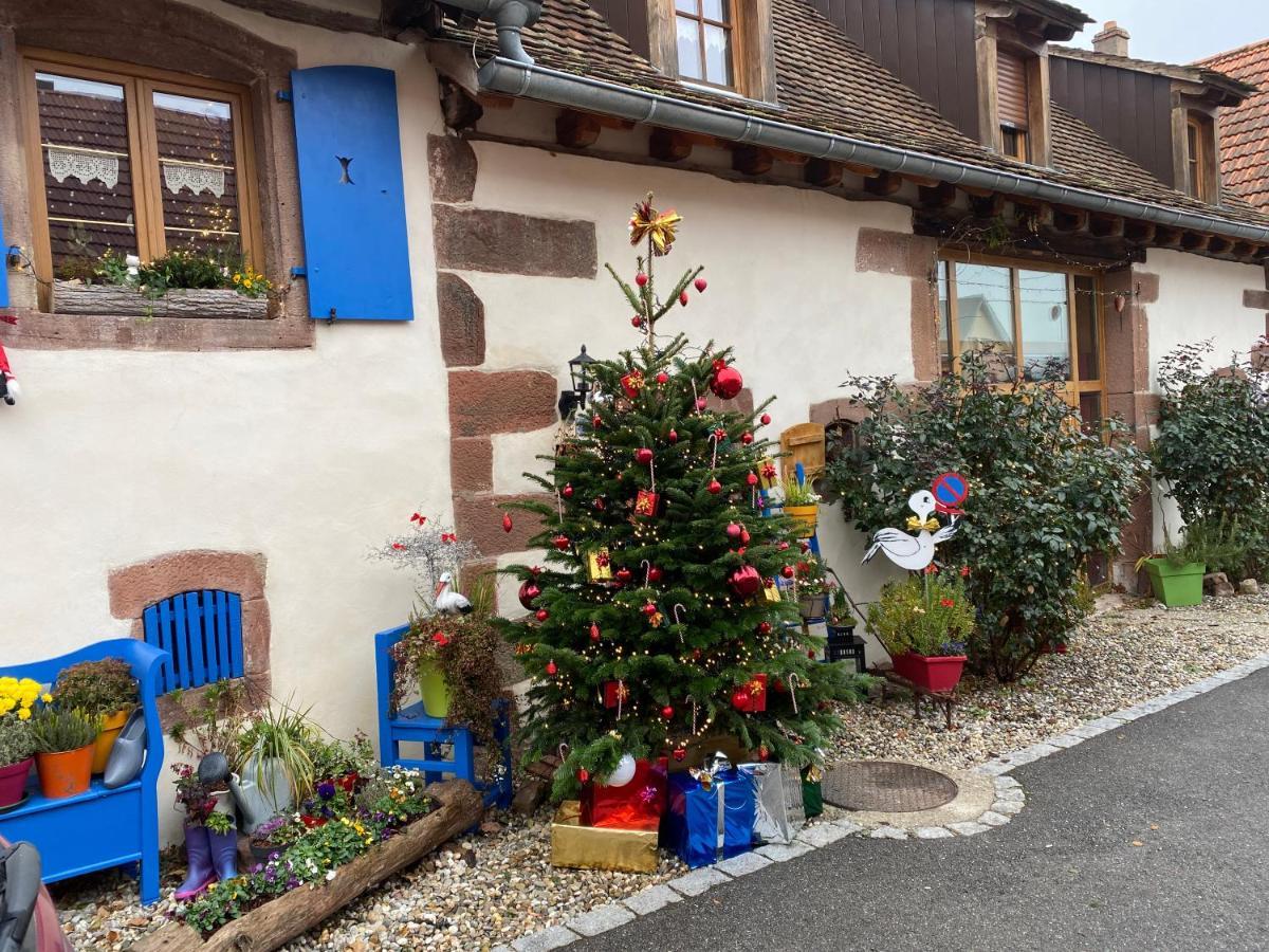 Le Nid De Cigognes Hotel Hengwiller Exterior foto