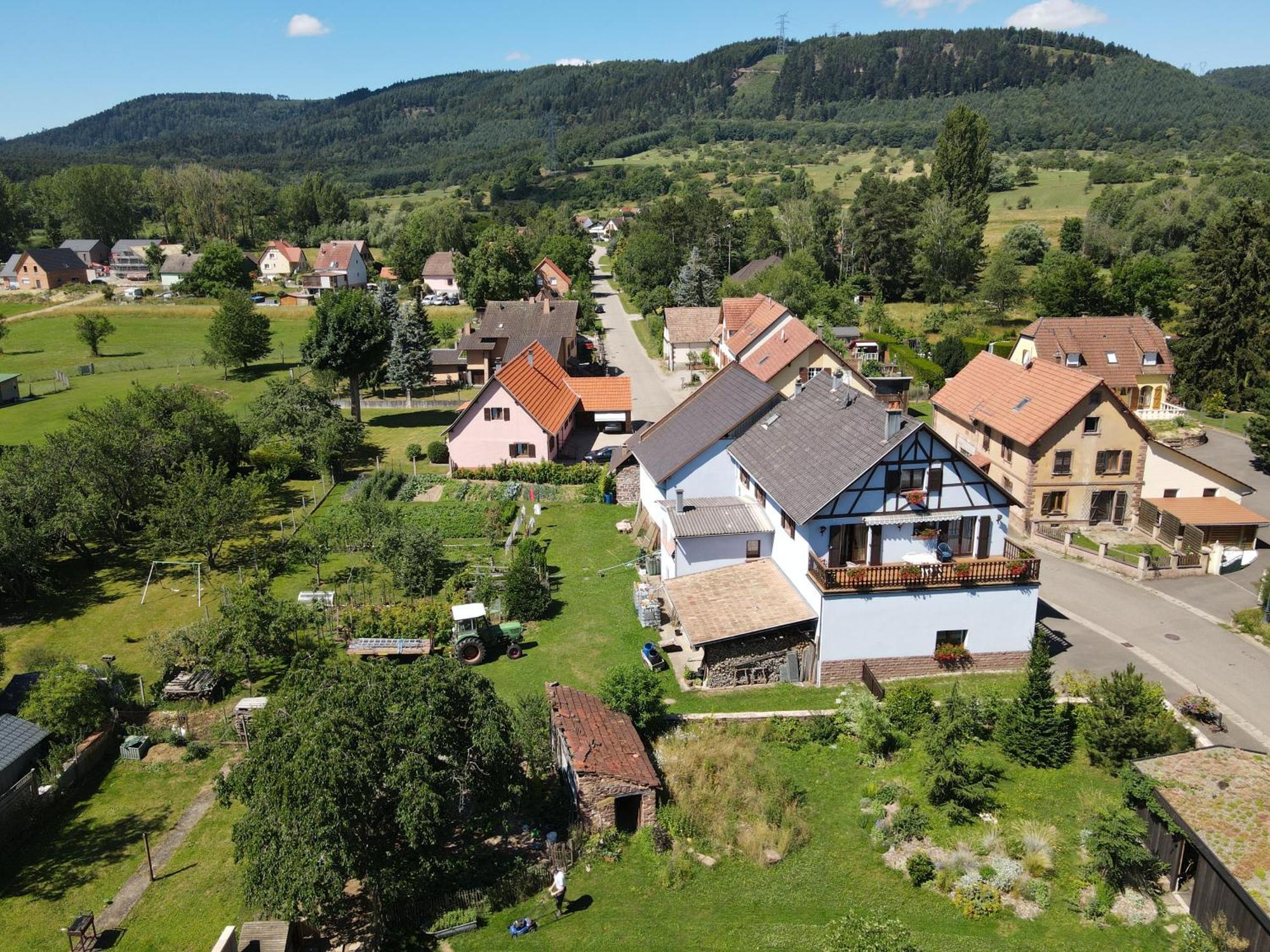 Le Nid De Cigognes Hotel Hengwiller Exterior foto
