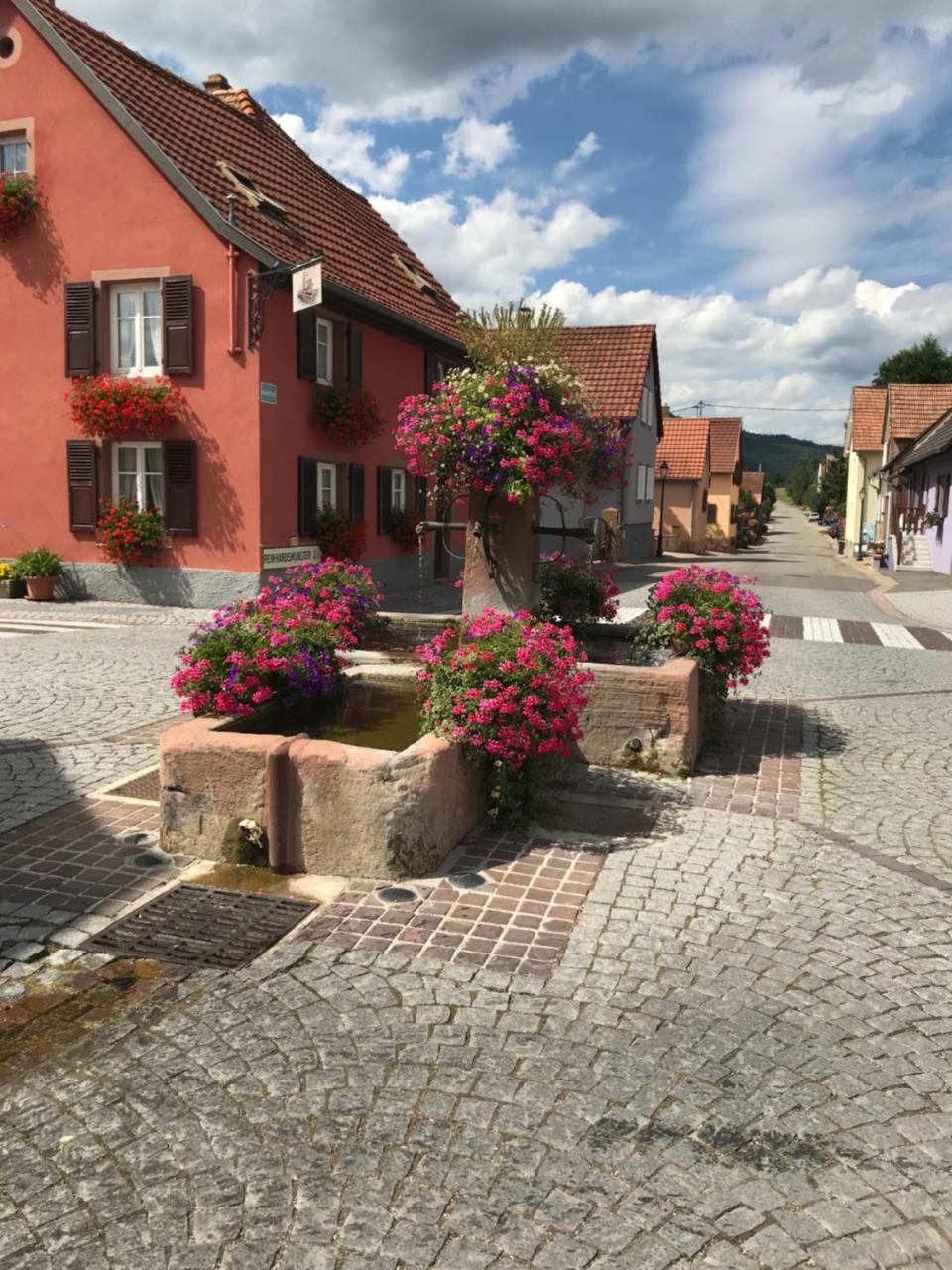 Le Nid De Cigognes Hotel Hengwiller Exterior foto